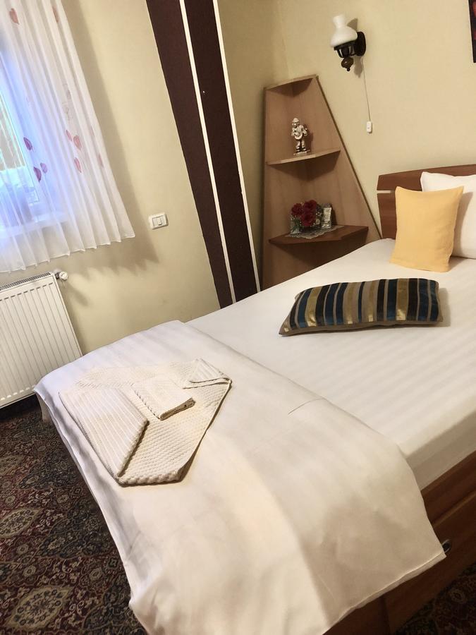 Pensiunea Sofia Тимишоара Экстерьер фото