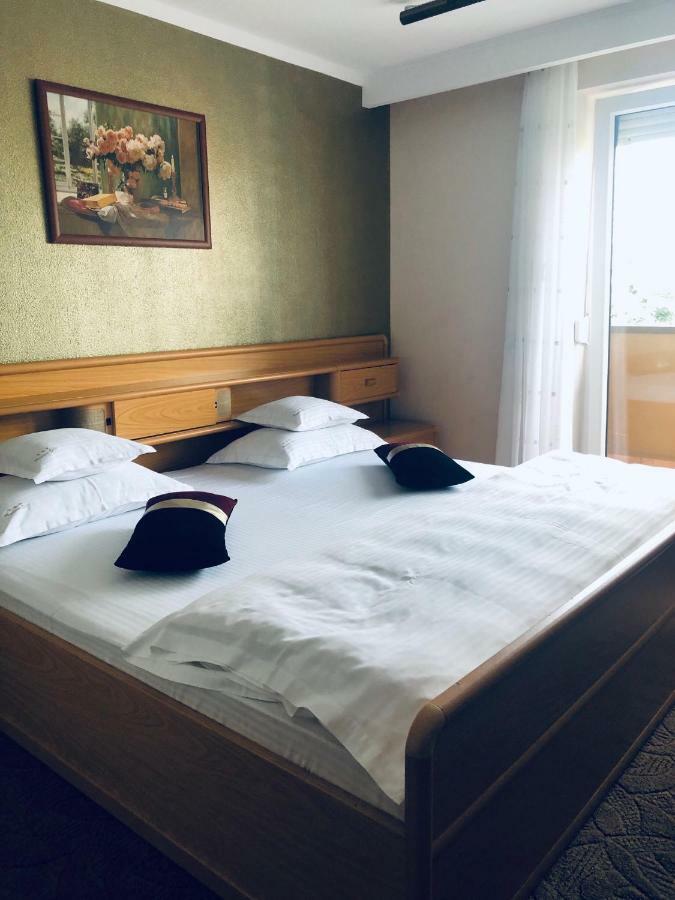 Pensiunea Sofia Тимишоара Экстерьер фото